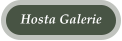 Hosta Galerie